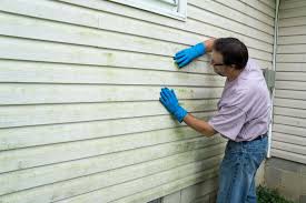 Affordable Siding Repair and Maintenance Services in Bentonville, AR